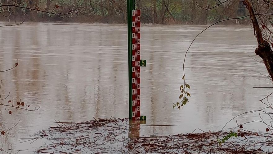 Toro, en alerta amarilla: el caudal del Duero alcanza casi los 800 metros cúbicos por segundo