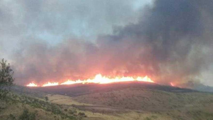 Estabilizado el incendio de Calzadilla y controlado el de Aldea del Cano