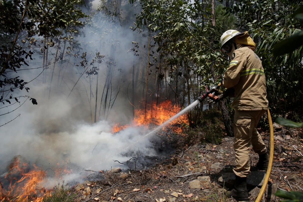 Incendio de grandes dimensiones en el centro de Portugal.