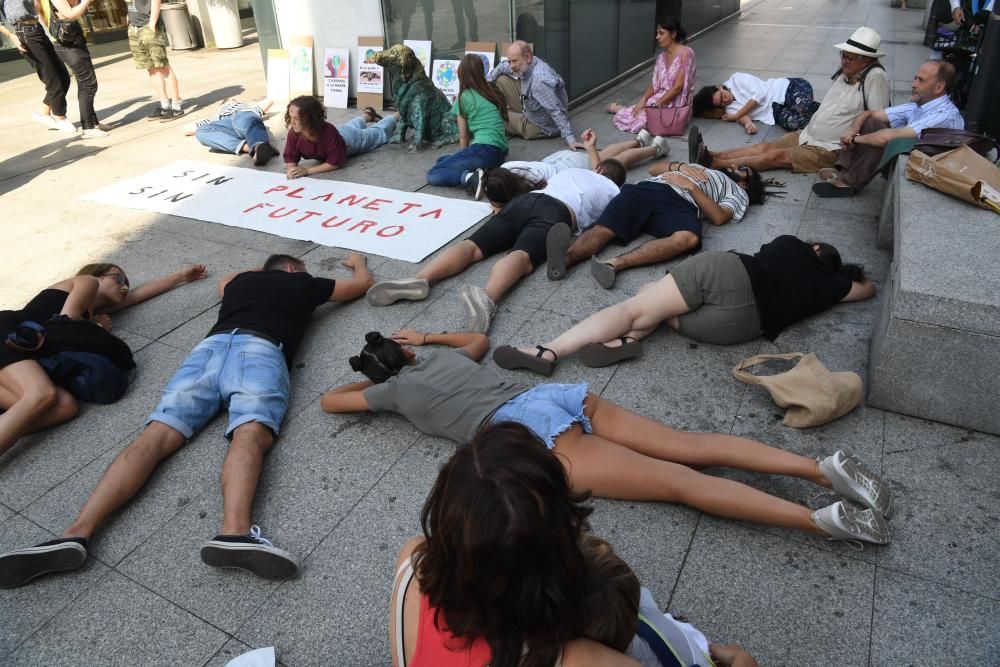 Manifestación por la destrucción del Amazonas