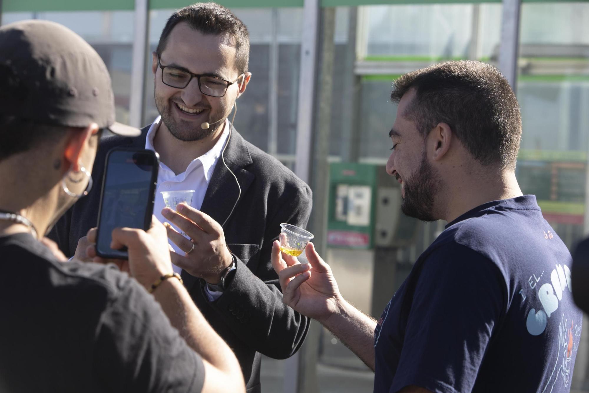 Enguera abre sus puertas a la II Feria del Aceite