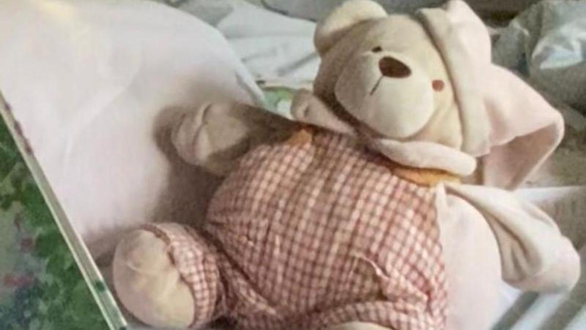 Pepi, peluche perdido en Cáceres en Navidad.