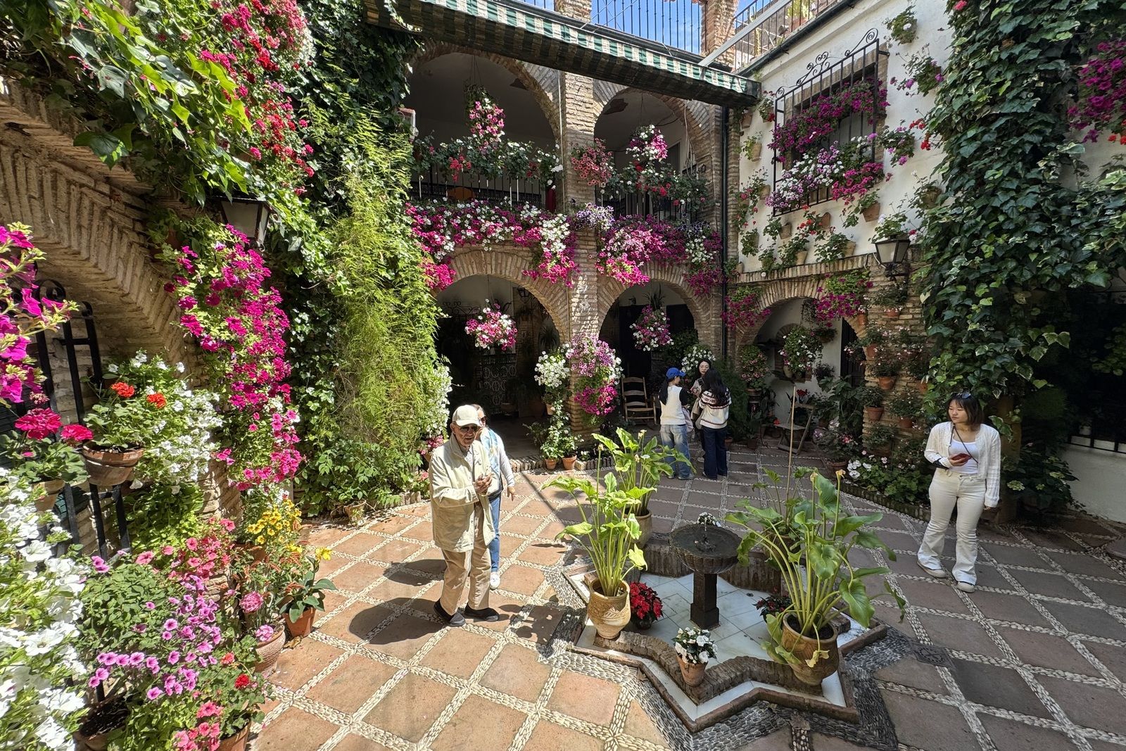 La Ruta 3 de los Patios de Córdoba, en imágenes