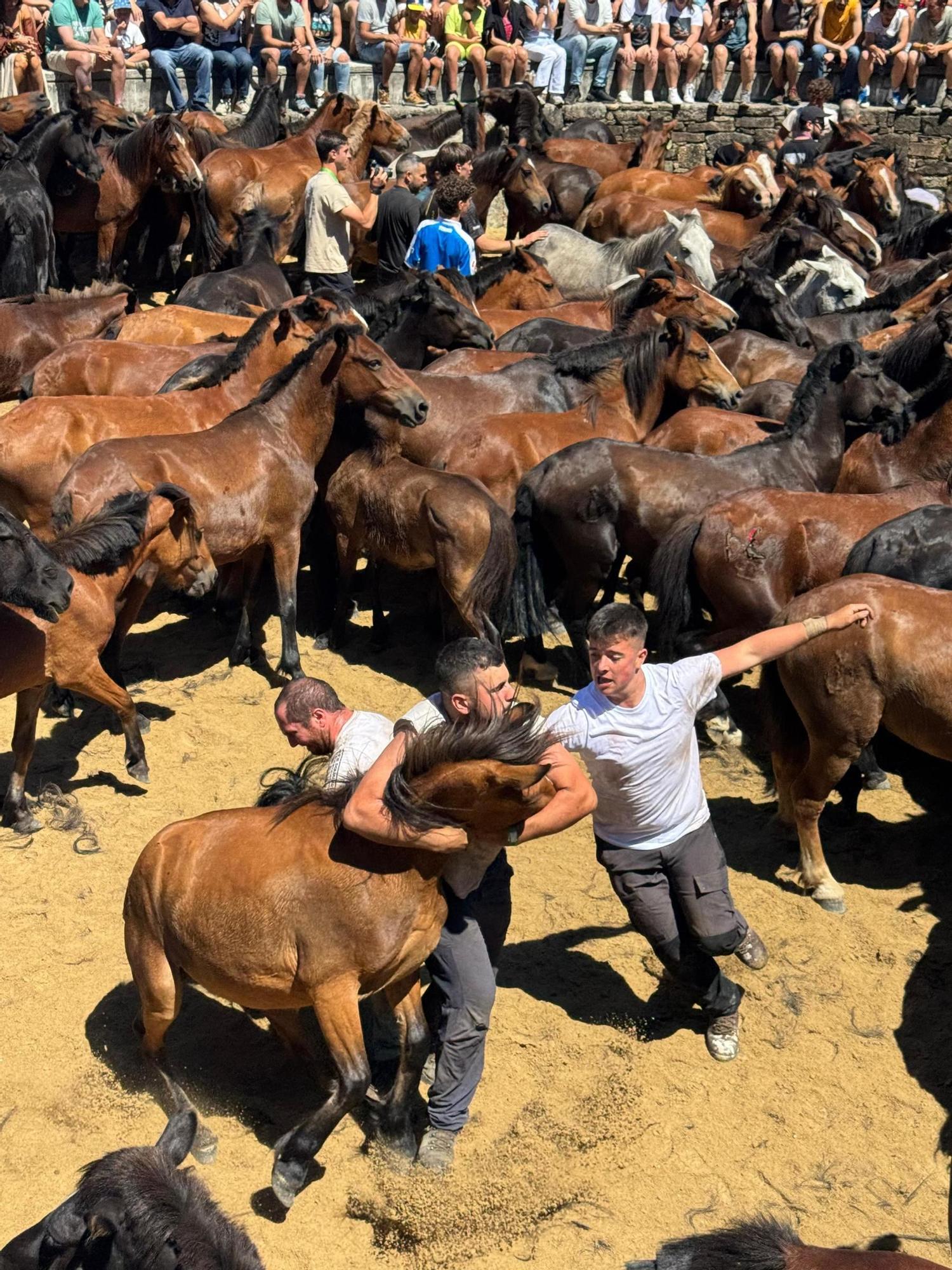Sabucedo celebra su primera rapa como BIC