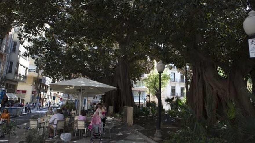 Imagen de ayer de una de las terrazas que se sitúan bajo las ramas de los ficus centenarios de la plaza de Gabriel Miró.