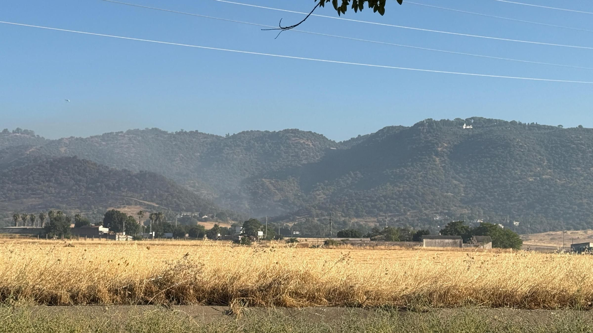 Las imágenes de la mañana en el entorno del incendio de La Albaida