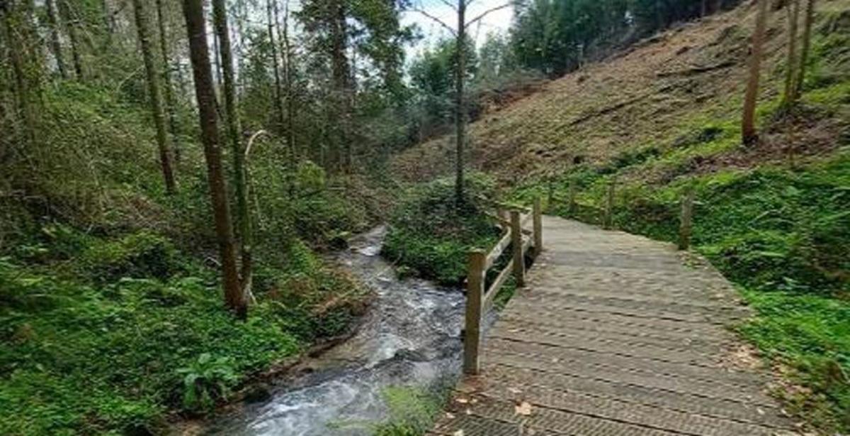 Una vista del sendero del regato del Rialdarca. | FDV