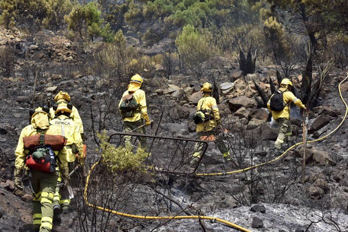 INCENDIO FORESTAL EN LOS MONTES DE BENAHAVÍS ...