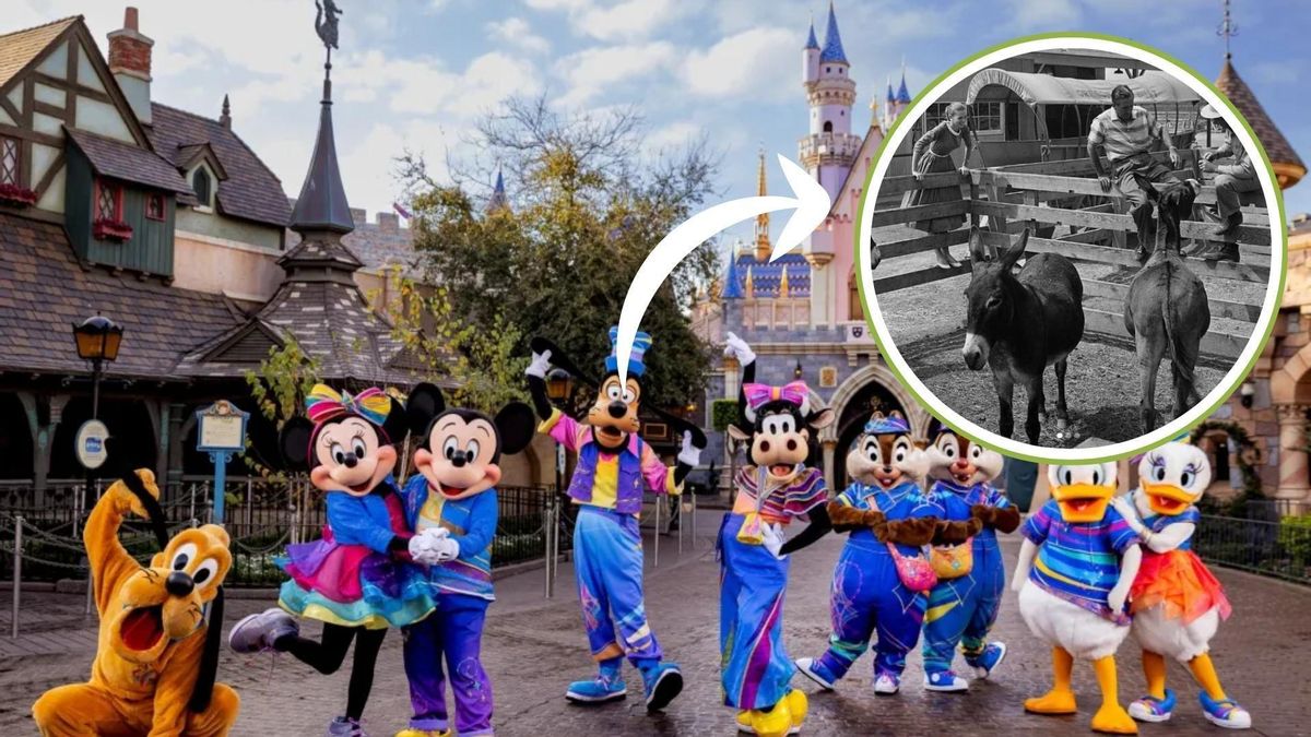 Una família residió en Disneyland durante 15 años.