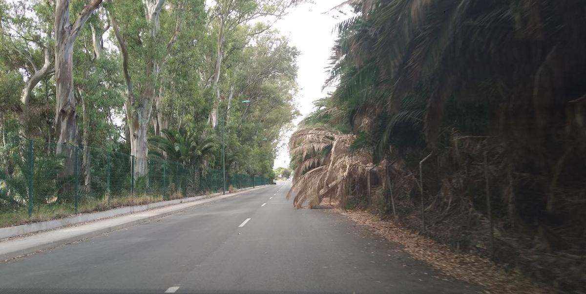 Los vecinos denunciaron la situación hace unas dos semanas.