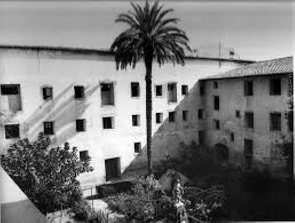 Palmera a l'interior del Col·legi Escoles Pies de Gandia