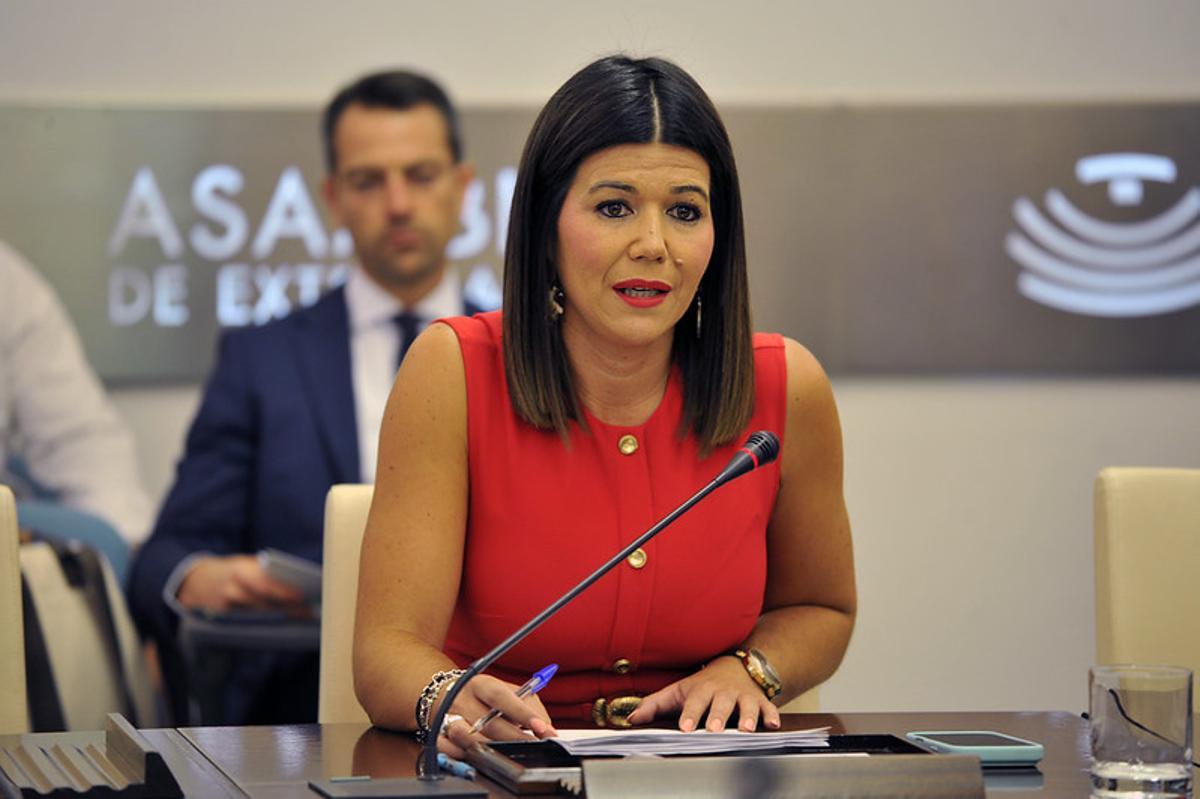 La directora gerente del SES, Encarna Solís, comparece en la Comisión de Salud de la Asamblea de Extremadura.