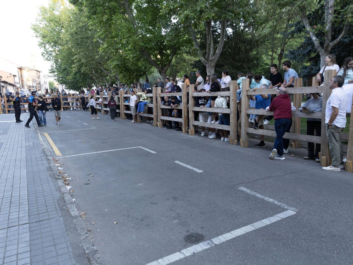 I Encierro tradiconal urbano de novillos, San Agustín Toro 2026