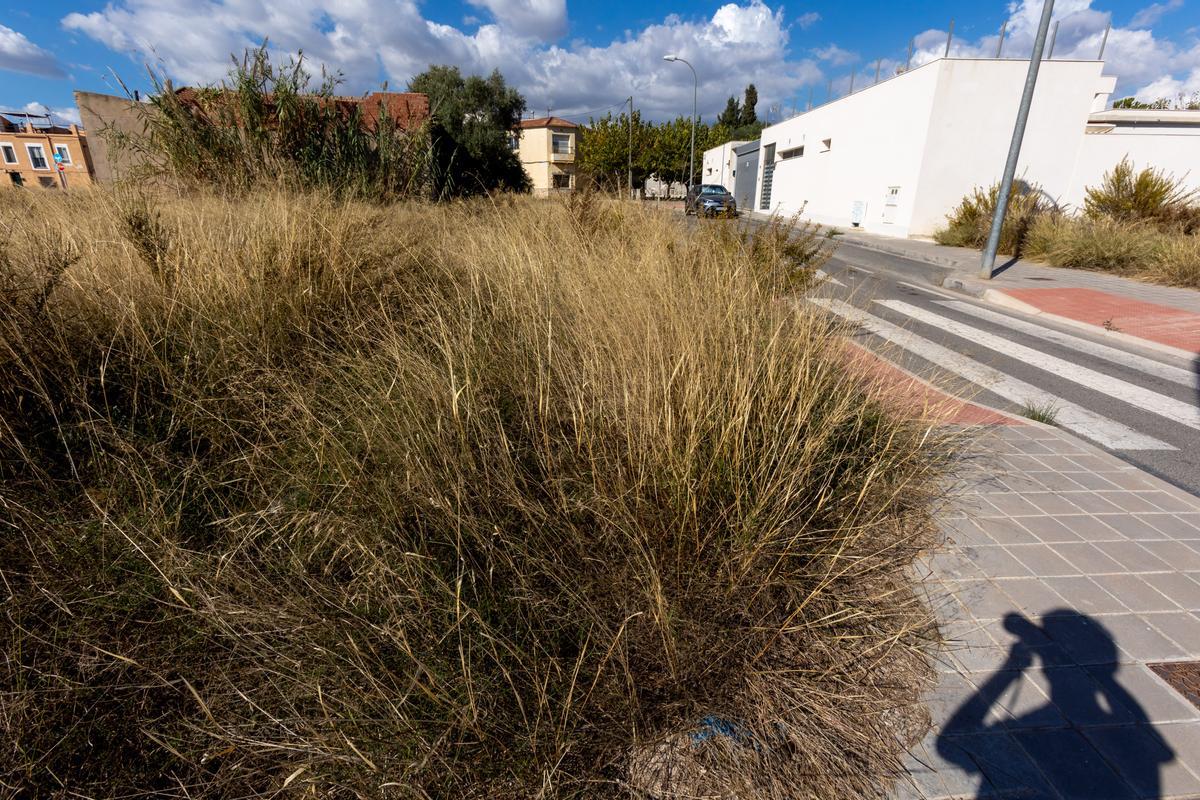 Un solar sin desbrozar en Rabasa.