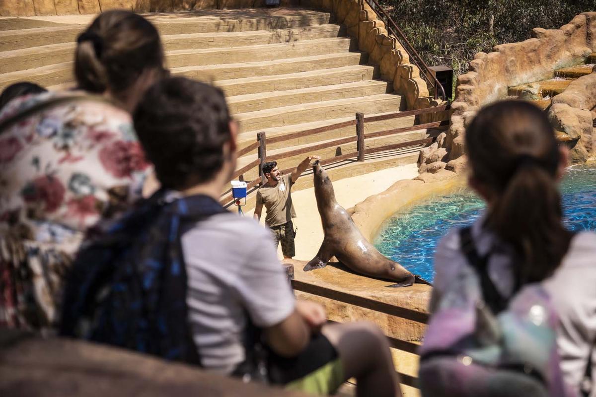 Reserva del Castillo de Las Guardas, en Sevilla