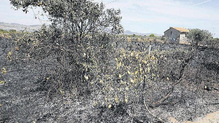 Muere el agricultor de Castelló que se abrasó el cuerpo al caer sobre una quema