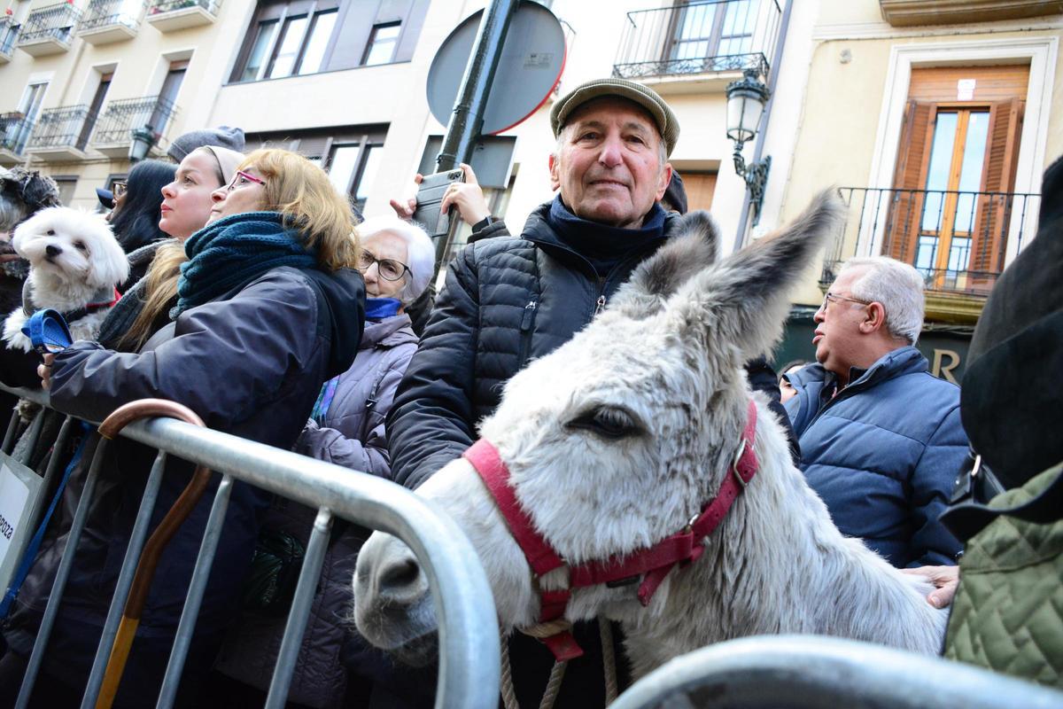 En imágenes | Bendición de los animales por San Antón en la iglesia de San Pablo