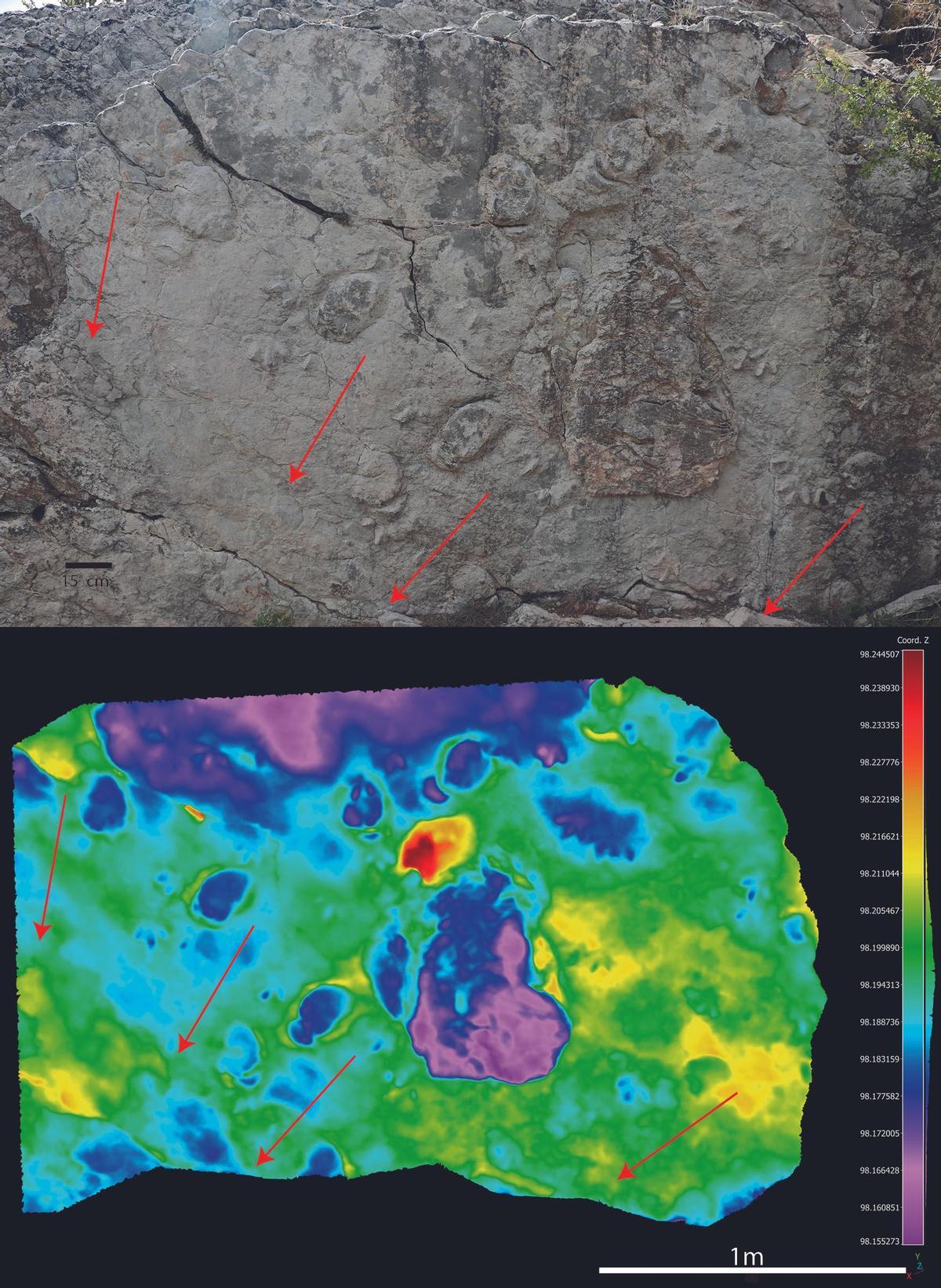 Fotografía y mapa de profundidad por colores del yacimiento “Aguilar 3” en Aguilar del Alfambra (Teruel), donde se indican los rastros paralelos de estegosaurio evidenciando el comportamiento gregario.