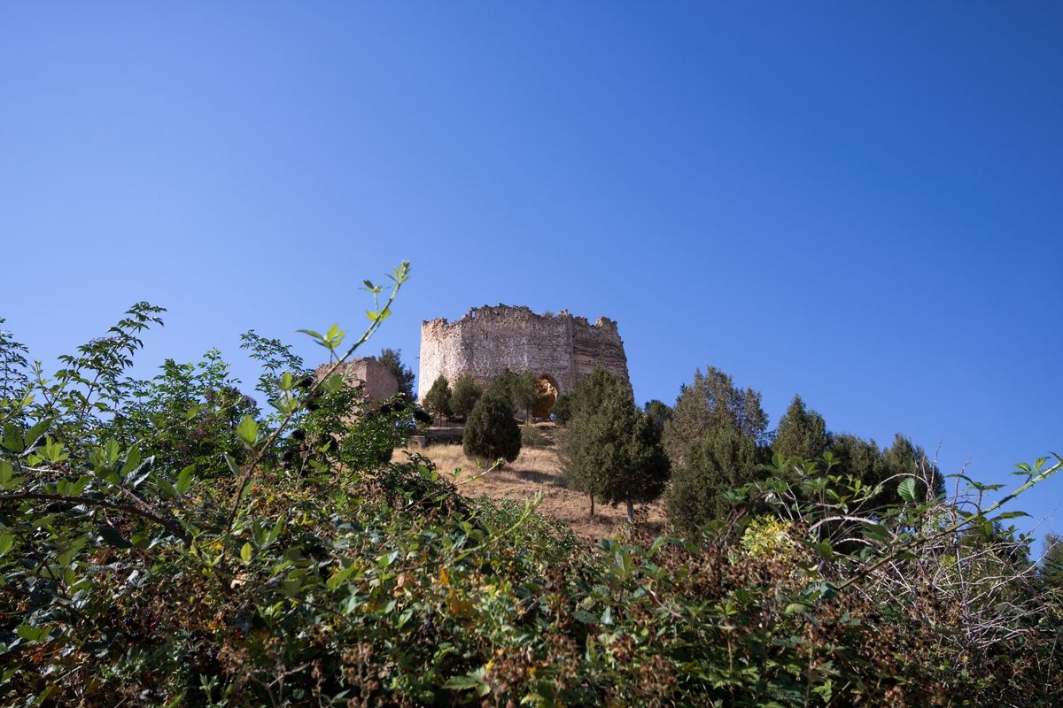 Castillejo de Robledo