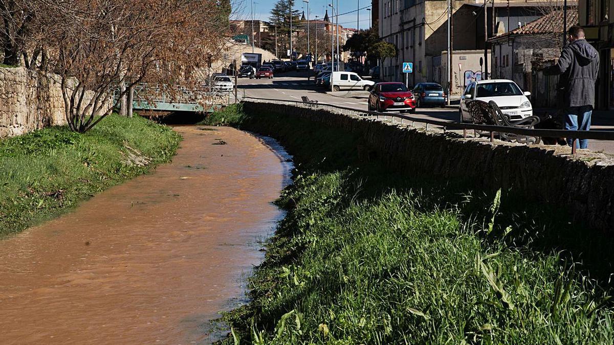 Arroyo de Valorio, a su paso por la zona de los Pisones. | Jose Luis Fernández