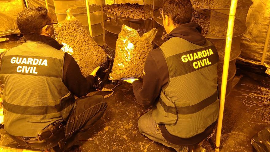 Detenidos por cultivar marihuana en un garaje enganchado ilegalmente a la red eléctrica