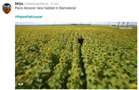 Los memes de #pipesPaAlcacer