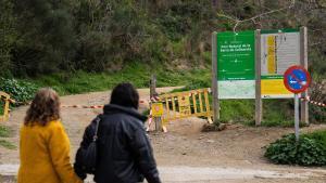Barcelona. 12/03/2026 Sociedad. El parque de Parque Natural de la Serra de Collserola permanecerá cerrado al público mientras el Govern lleva a cabo una batida para controlar cerca de 500 jabalíes ante el riesgo de peste porcina africana. Foto: Zowy Voeten / El Periódico.