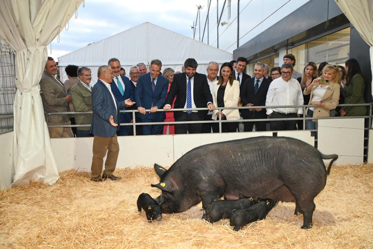 El presidente Fernando López Miras y la consejera Sara Rubira (en el centro), en Sepor.