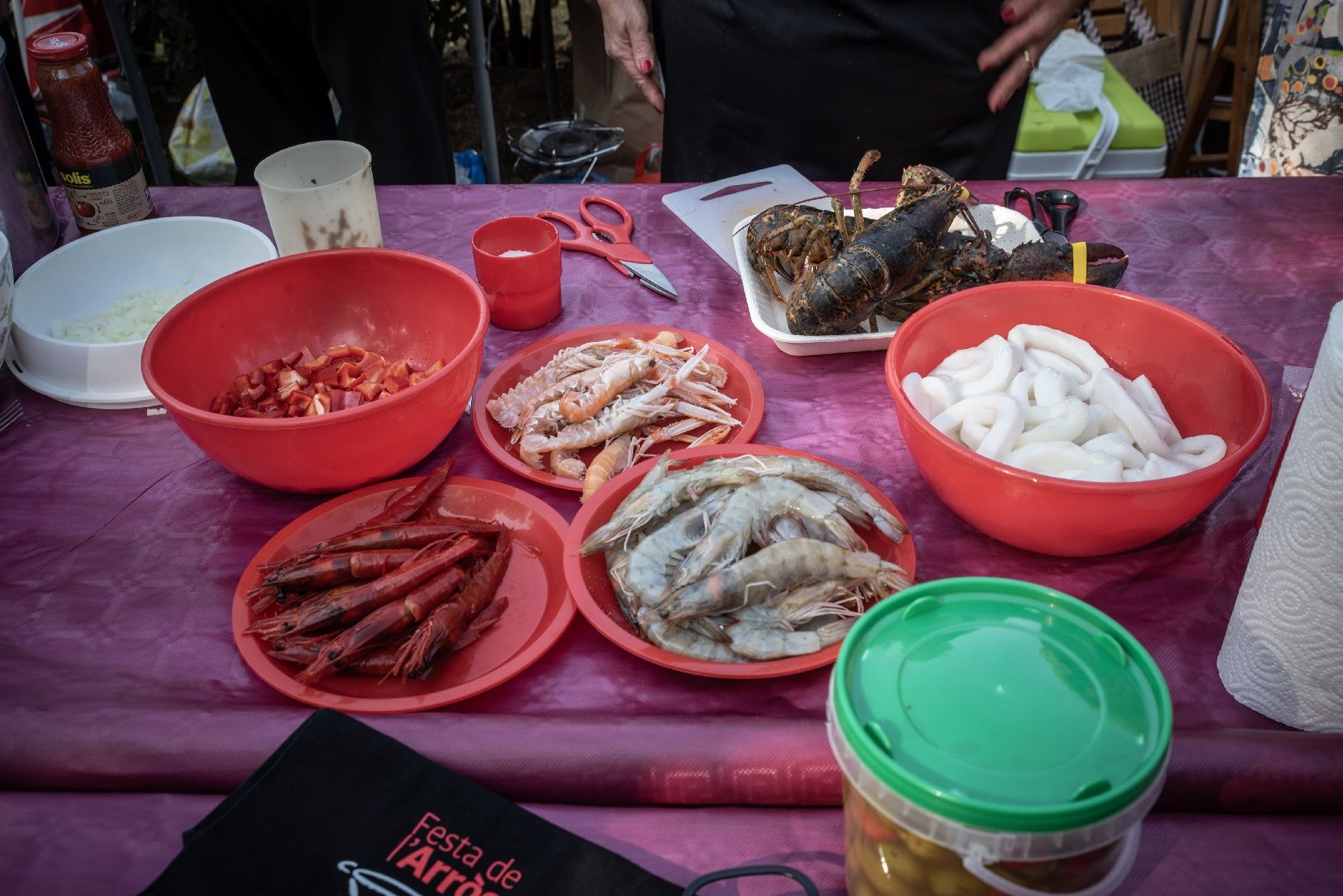 Totes les imatges de la Festa de l'Arrós de Sant Fruitós