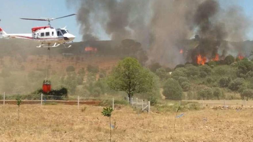 Un incendio amenazó los bosques de Sejas