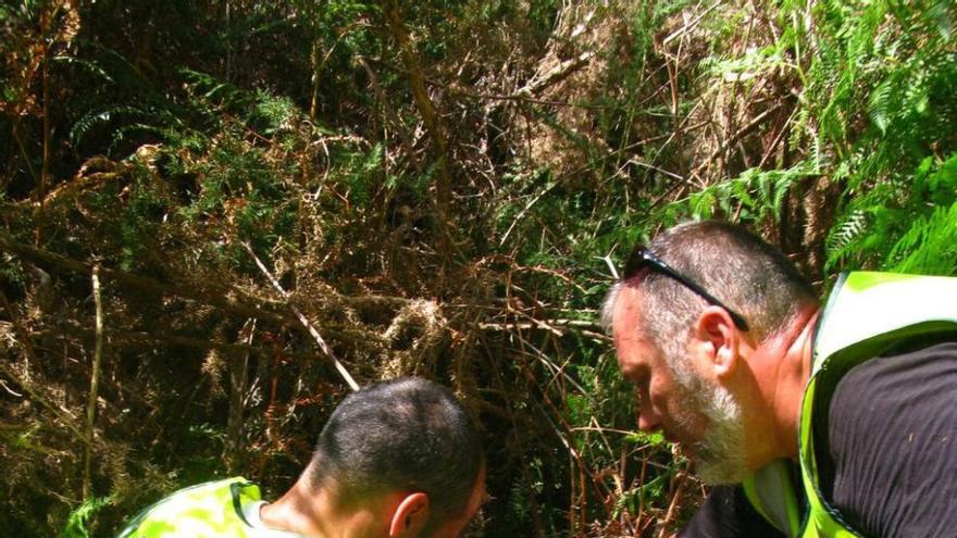 Dos guardias atienden al accidentado tras hallarlo entre las zarzas.