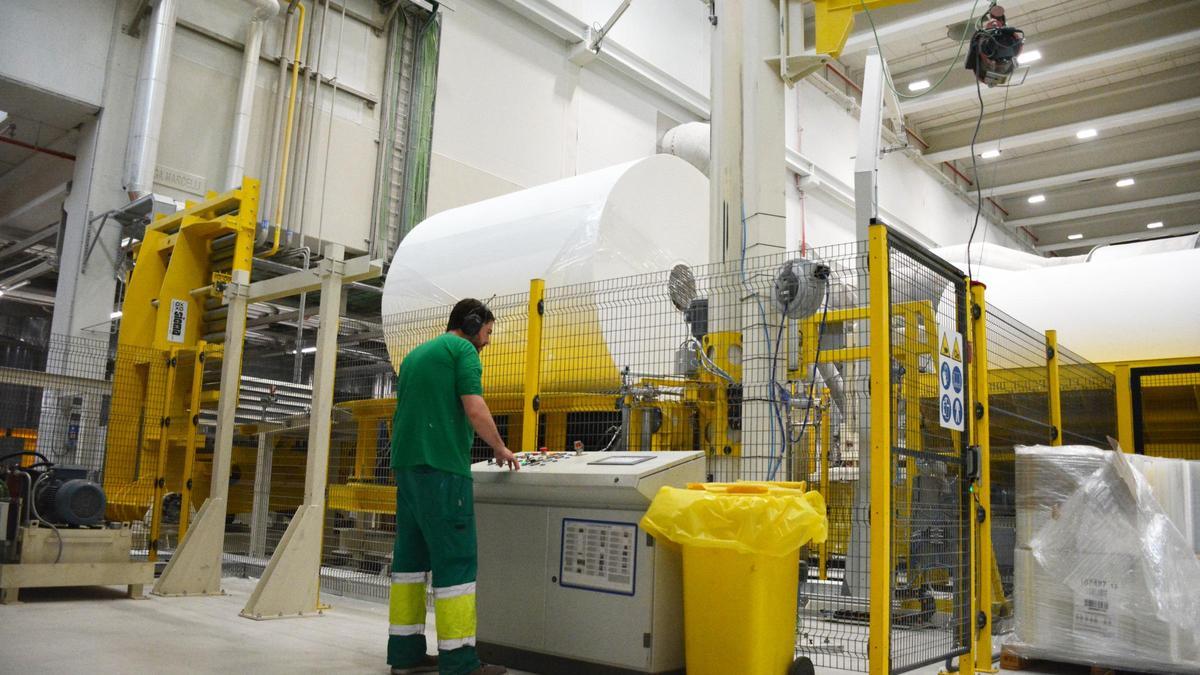 Las enormes bobinas de papel tisú que después se cortan y empaquetan en rollos más pequeños.