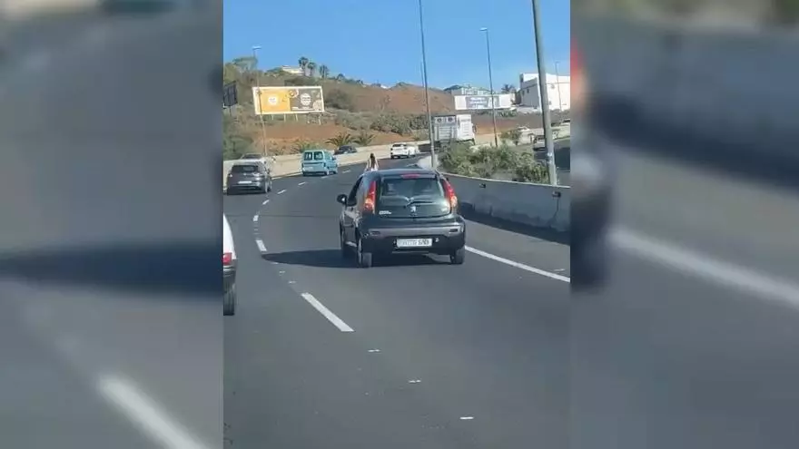 Persecución de un pato en la TF-2