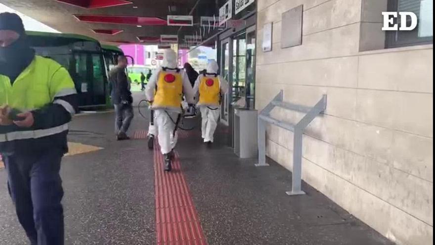 Labores de desinfección en la estación de guaguas de La Laguna