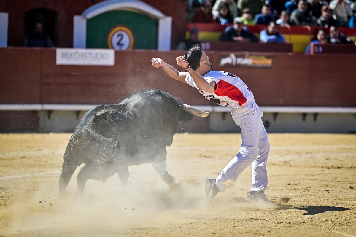 Concurso recortadores