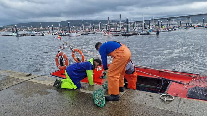 Los mariscadores arousanos ponen proa a la ría de Noia