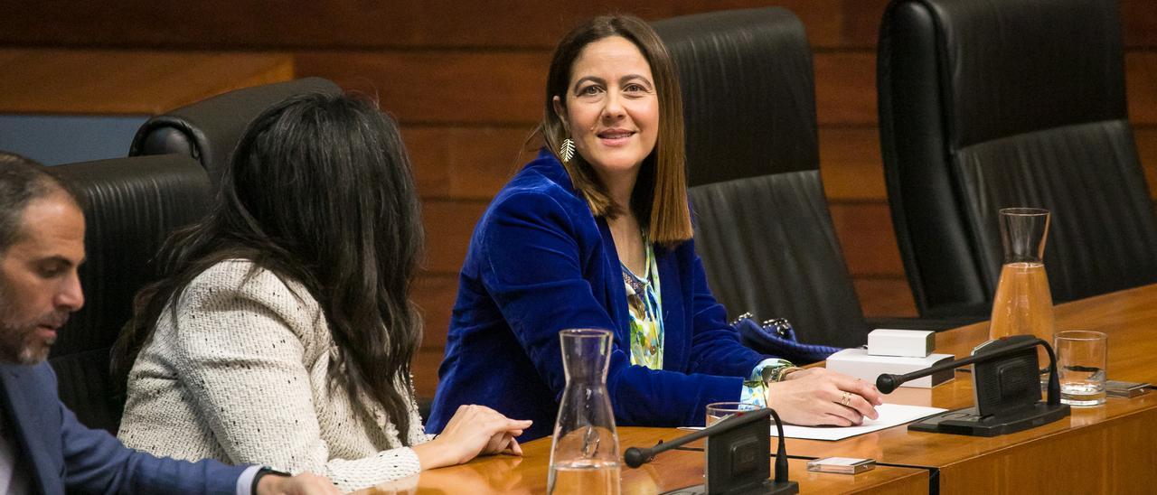 María Soledad García Blasco, de Ciudadanos, en su escaño.