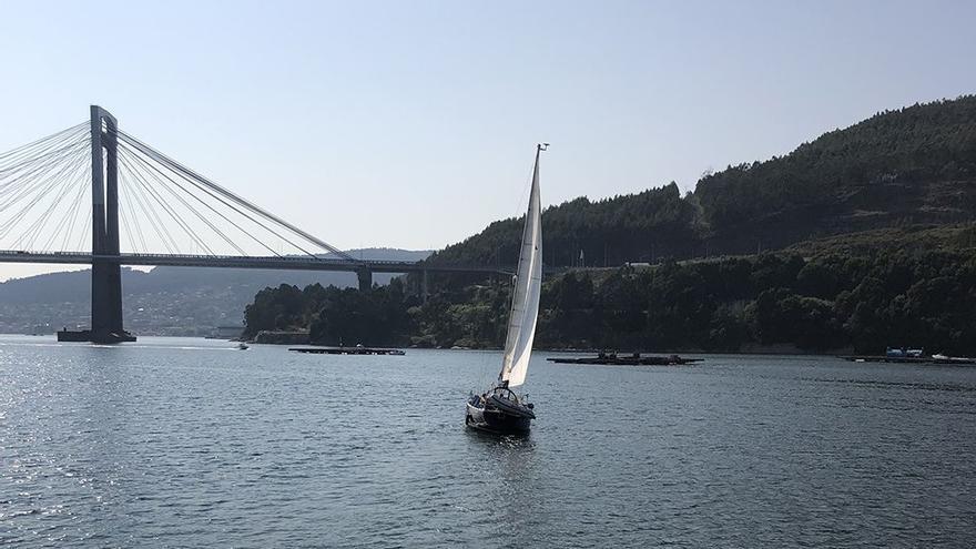 Vista de la ría de Vigo con la &quot;presencia&quot; del puente de Rande