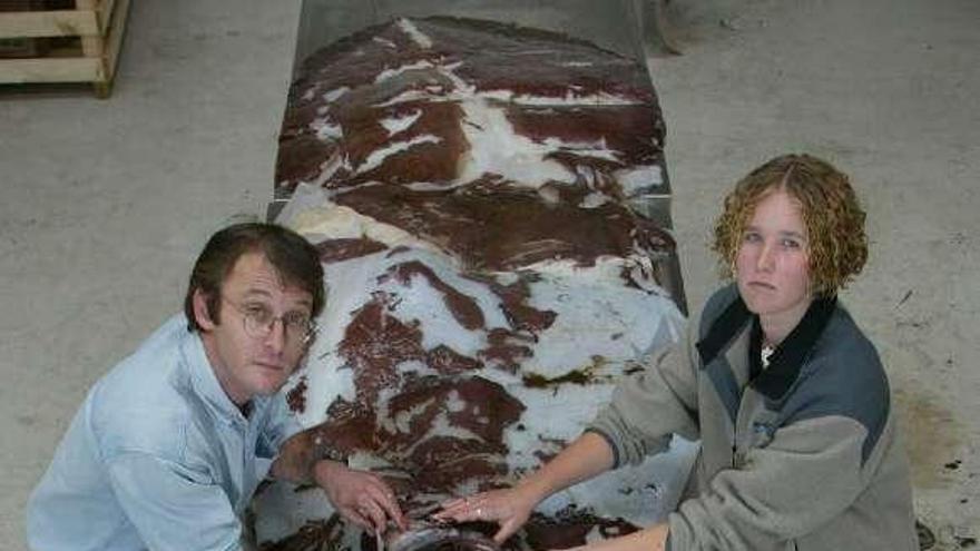 Dos biólogos, con un calamar gigante hallado en Nueva Zelanda. / m. m.