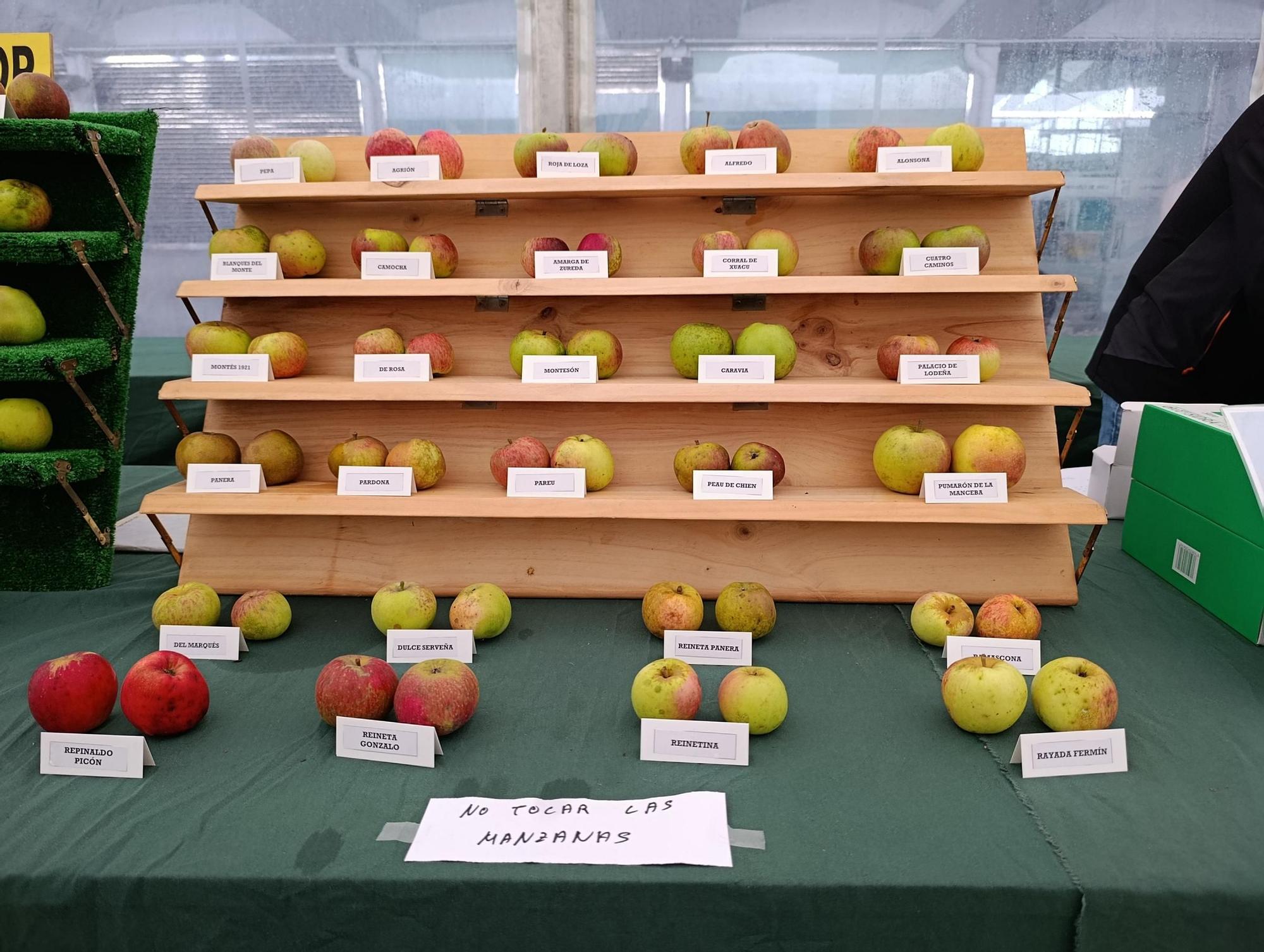 Lleno en la muestra agroalimentaria de la Plaza de Abastos de La Pola