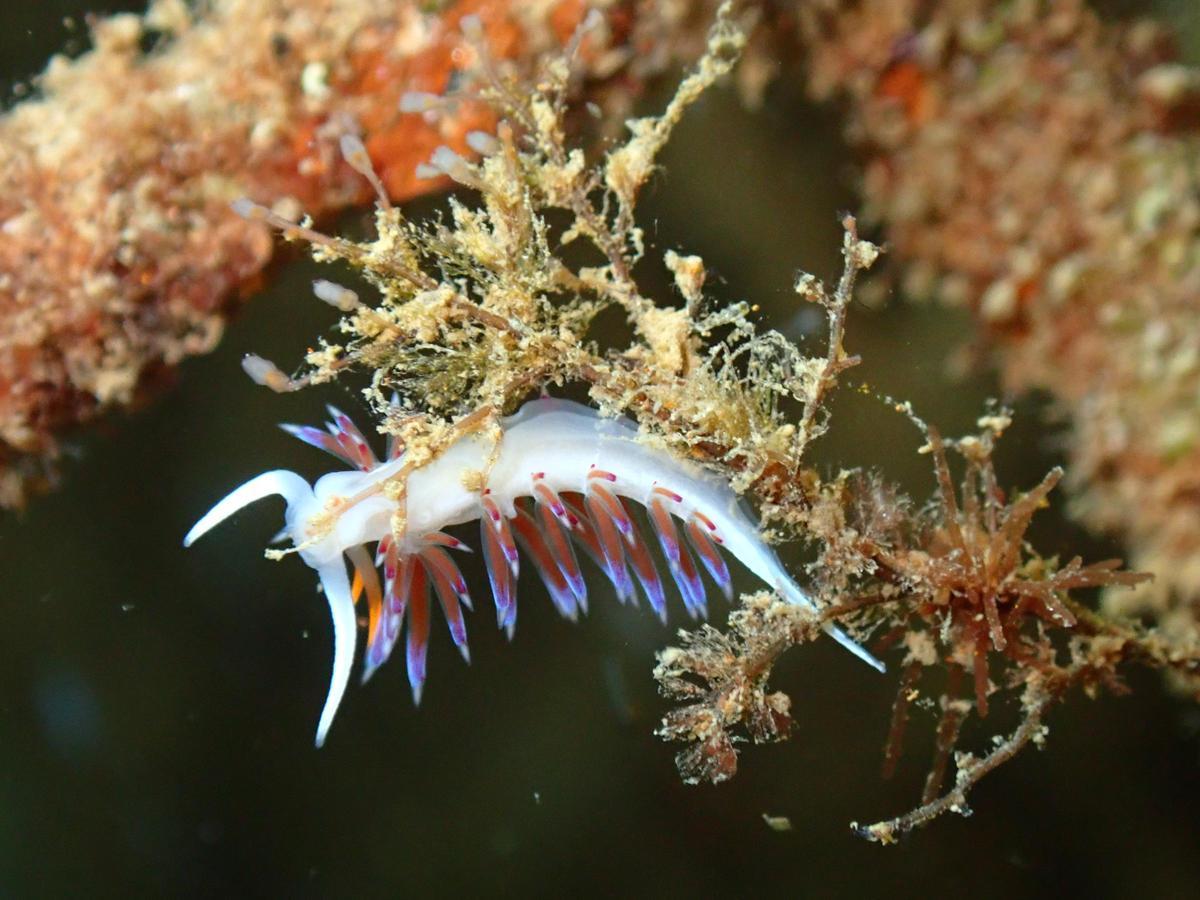 Si le damos la oportunidad, la naturaleza es extremadamente generosa