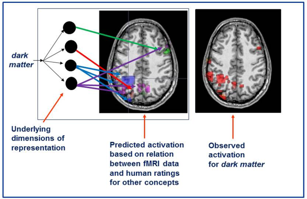 Descubren cómo el cerebro ha asimilado los conceptos cuánticos