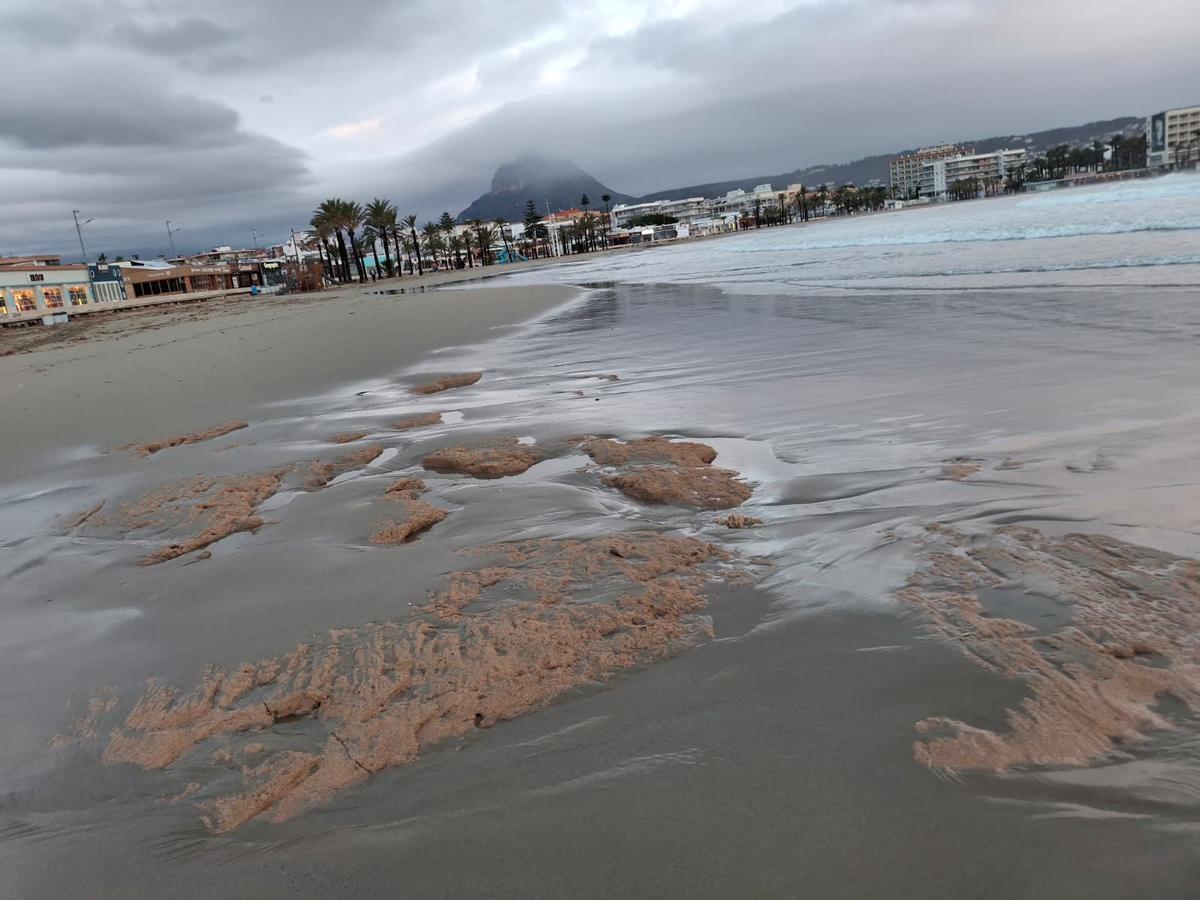 El estropicio del temporal Harry en las playas de Dénia y Xàbia (imágenes)