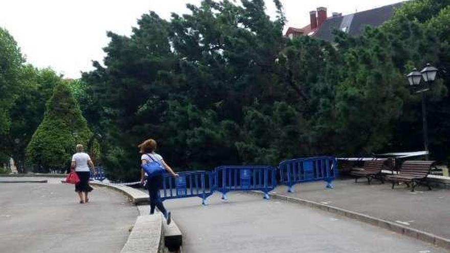 El árbol caído en el parque del Campillín, rodeado de vallas.