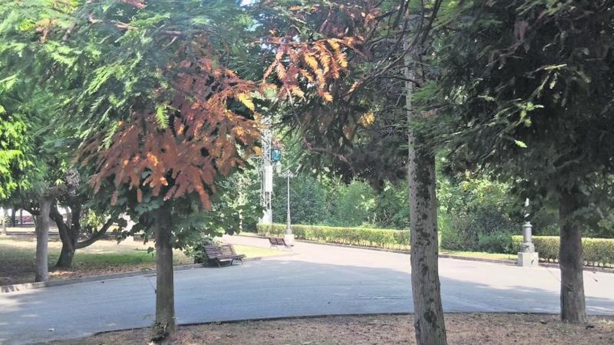 Un parque de Trubia