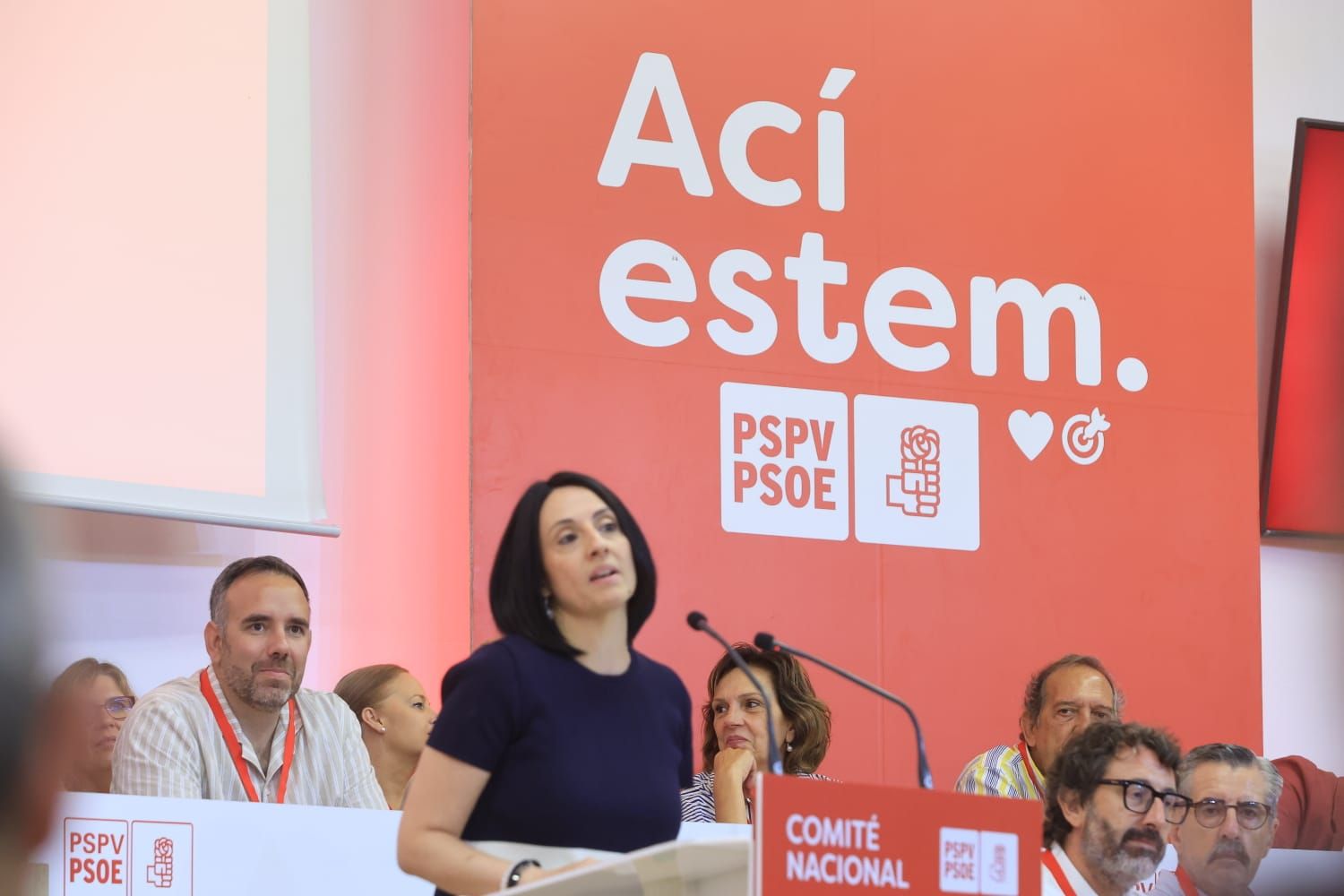 Todas las fotos del Comité Nacional del PSPV en València