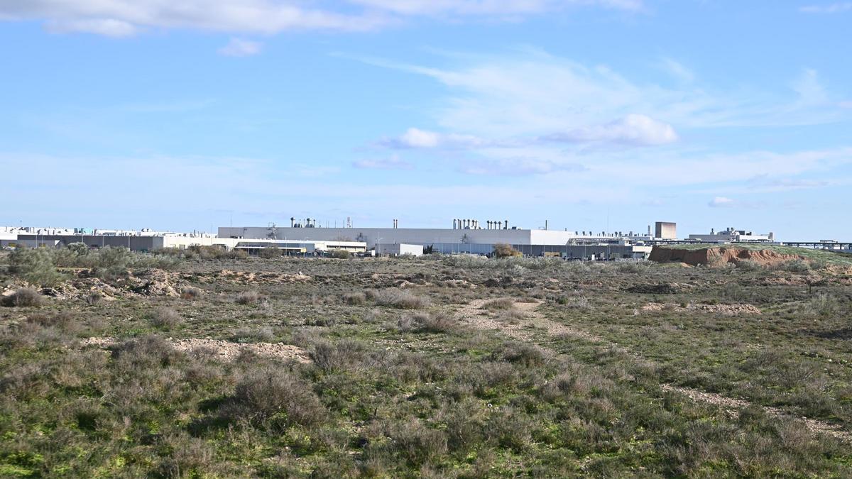 Terrenos anejos a la fábrica de Stellantis en Figueruelas donde se instalará la gigafactoría de baterías.