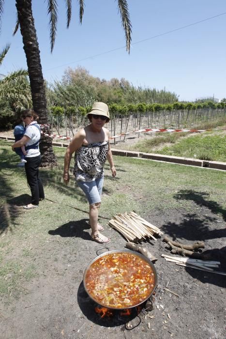 Romería dels Peixets de Alboraia