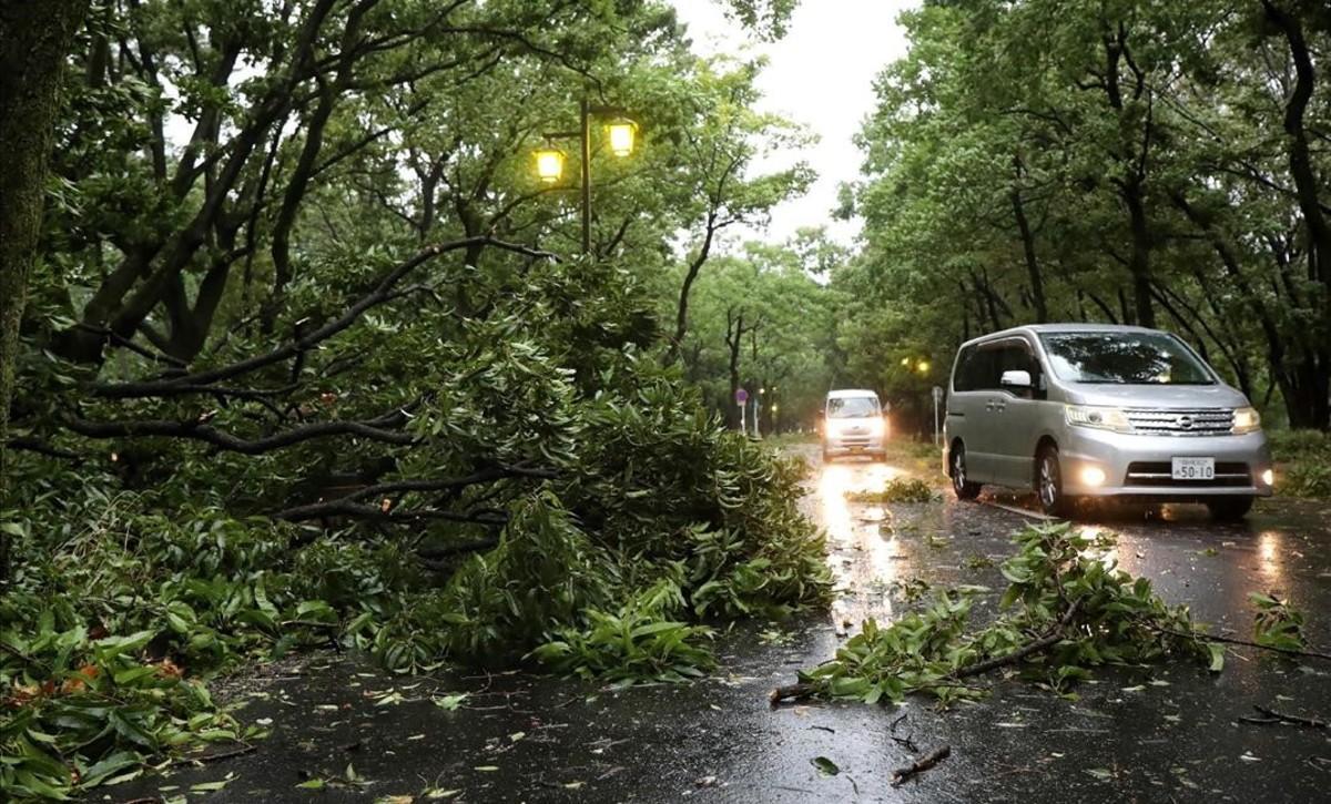 zentauroepp44895469 vehicles drive past fallen trees due to weather patterns fro180905093243