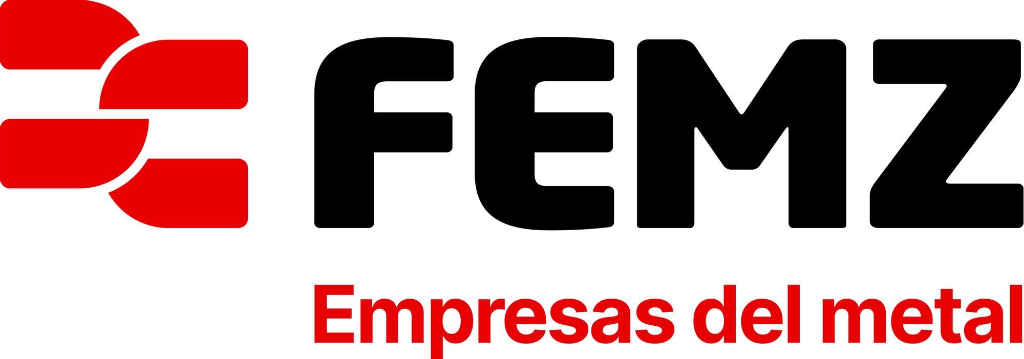 logo FEMZ